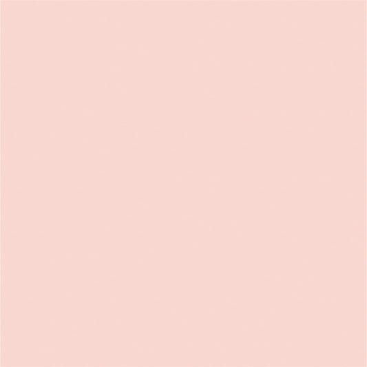 Pink Solid Photo Background for Party