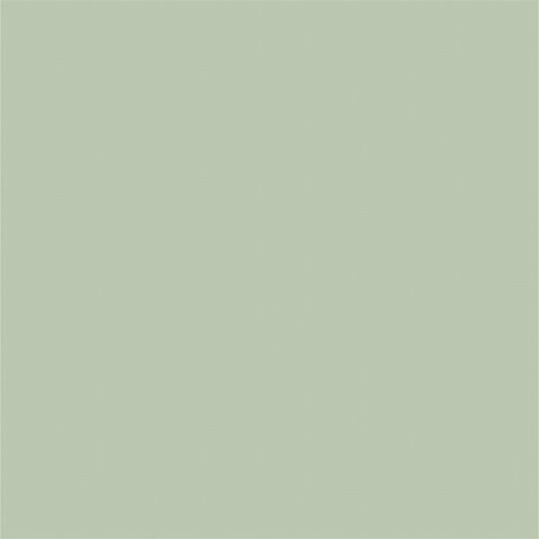 Light Green Solid Photo Backdrops for Portrait PHOTO – Starbackdrop