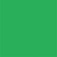 Bright Green Solid Photography Backdrops for Portrait