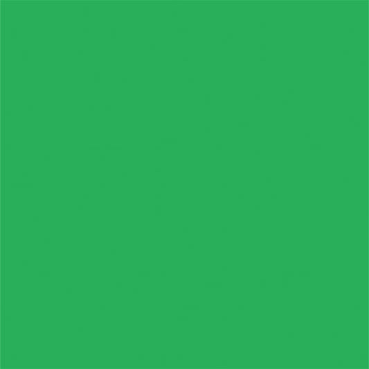 Bright Green Solid Photography Backdrops for Portrait