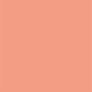 Pink Orange Solid Portrait Photo Backdrops