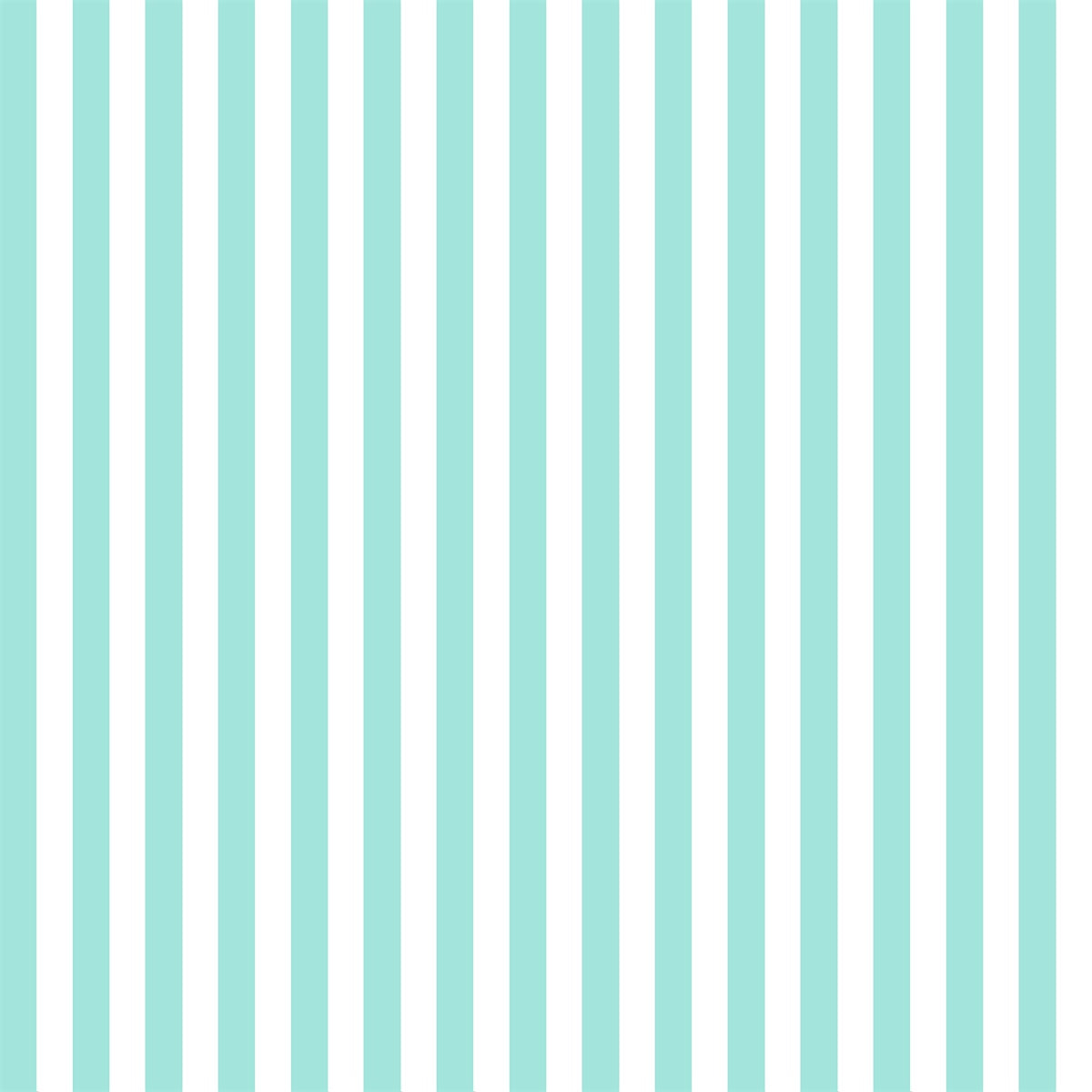 Mint and White Stripes Photo Background Fabric Backdrops