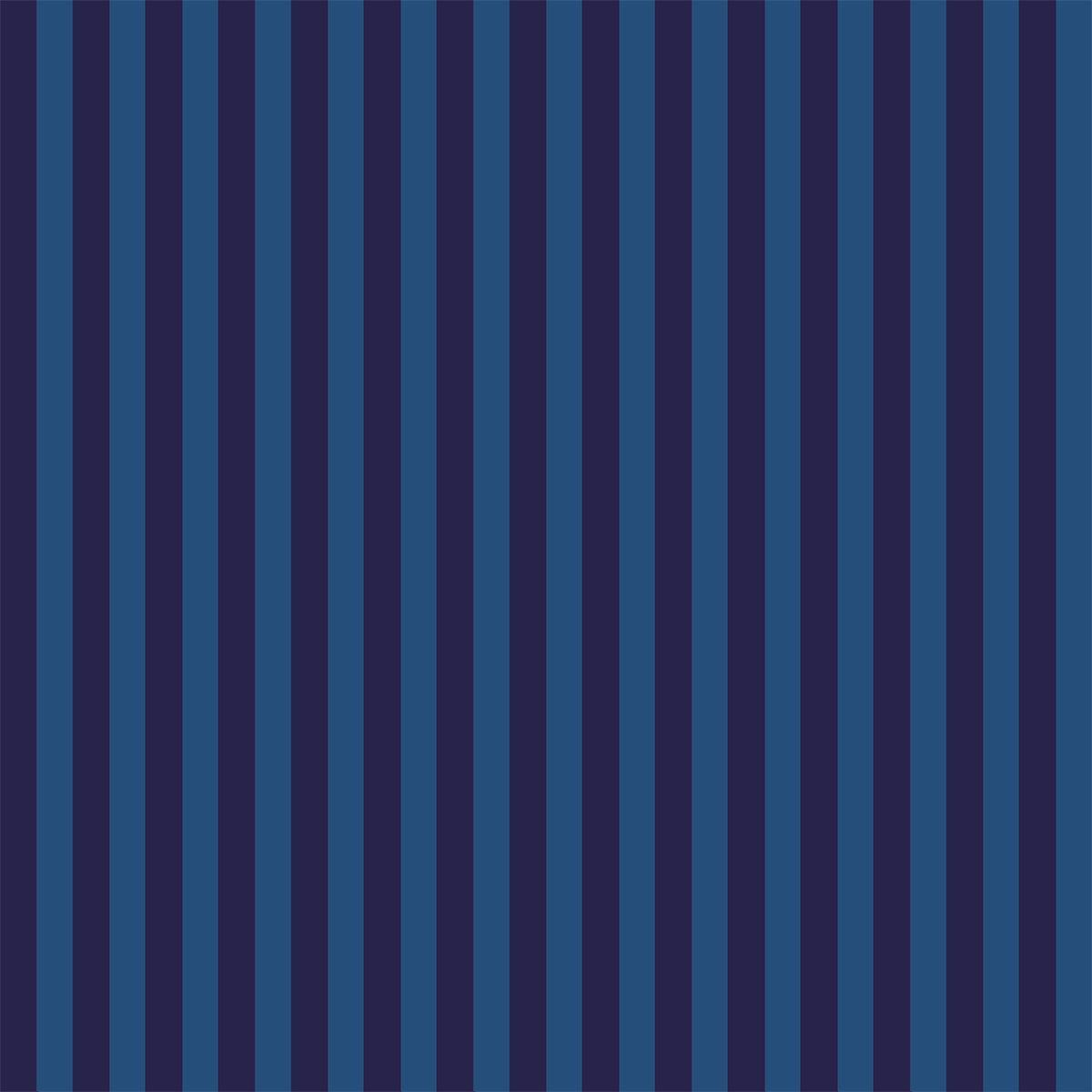 Dark blue and Light blue Stripes Portrait Fabric Photography Backdrops