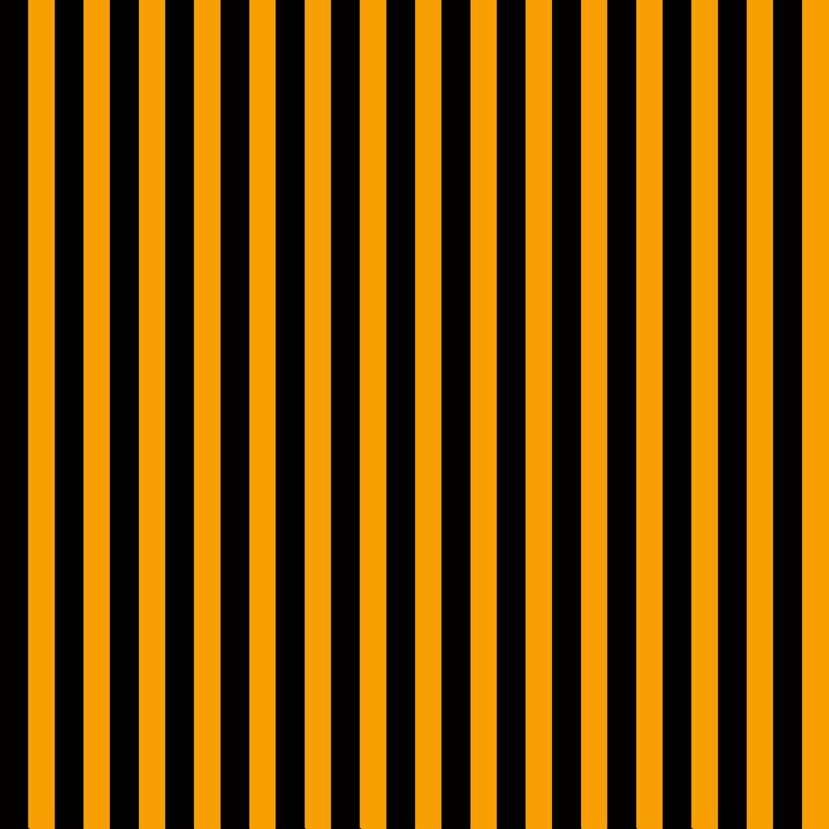 Black and Orange Stripes Photo Studio Backdrops