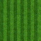 Green Grass Floor Football Field Photography Backdrops Fabric Background