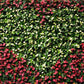 Love Heart Flower Wall  Backdrop For Events Photography