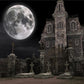 Bright Moon Brick Castle Halloween Backdrop for Photography Prop