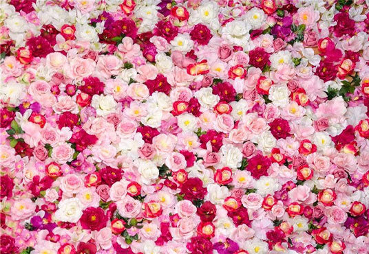 Rode Flowers Wall Photography Backdrop for Wedding Birthday