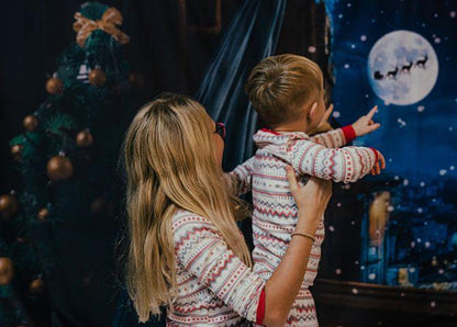 Winter Snowflake Christmas Windows Backdrops for Photography
