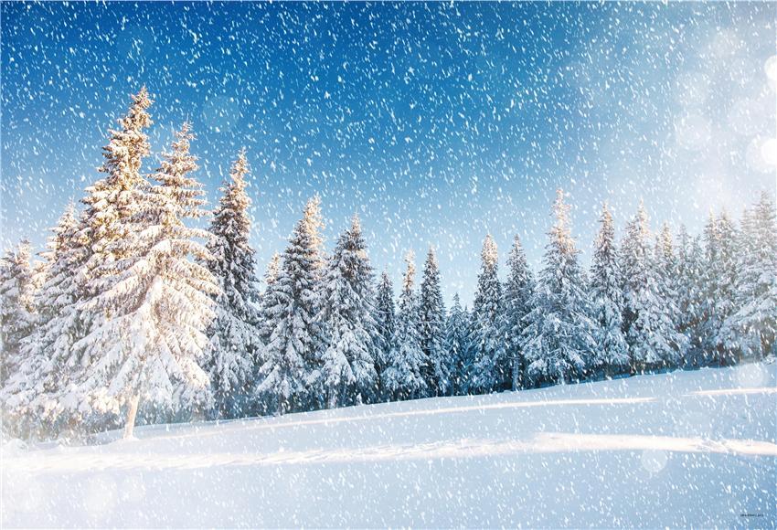 Snow Forest Winter Photography Backdrops
