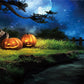Bright Moon Pumpkin Halloween Backdrop for Photography