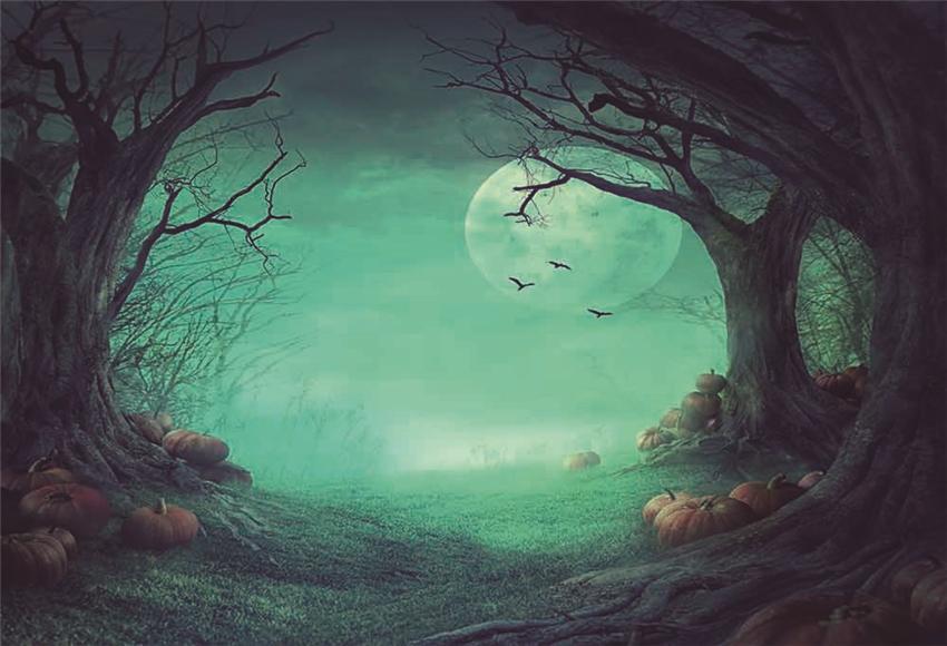Halloween of Night Photography Backdrops for Nature