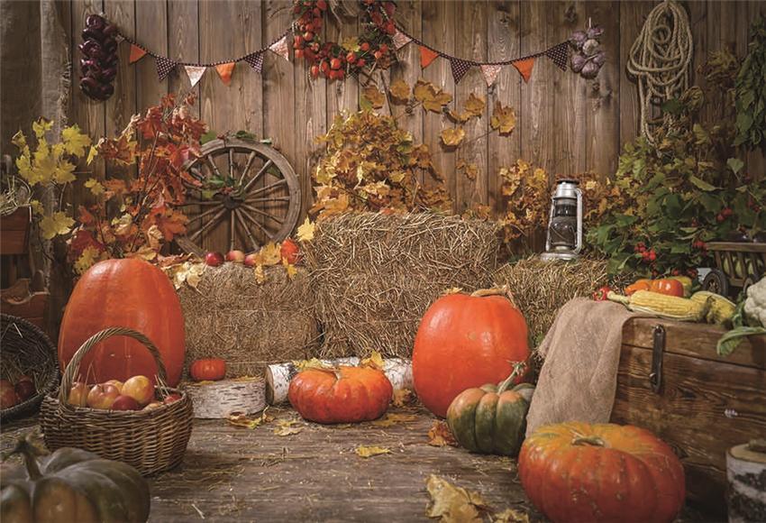 Buy Rustic Wooden Fall Straw Backdrops Online – Starbackdrop