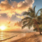 Sunset Beach Tropical Backdrop
