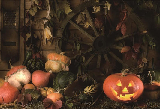 Vintage Barn Leaves Pumpkin Photography Backdrops
