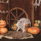 Vintage Barn Fall Pumpkin Photography Backdrops