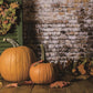 Fall Brick Pumpkin Photography Backdrops