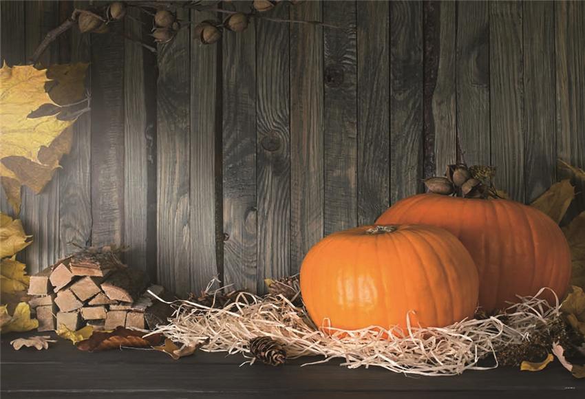 Grey Wood Halloween Fall Pumpkin Straw Photo Backdrop