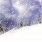 Winter Christmas Snowflake Blue Sky Wonderland Photography Backdrop