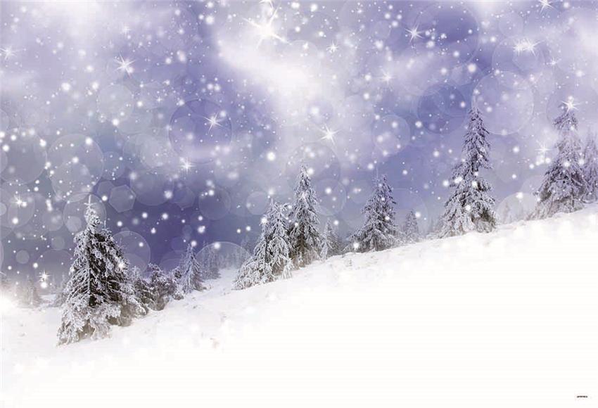 Winter Christmas Snowflake Blue Sky Wonderland Photography Backdrop