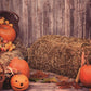 Trick or Treat Halloween Haystack Wood Wall Backdrop