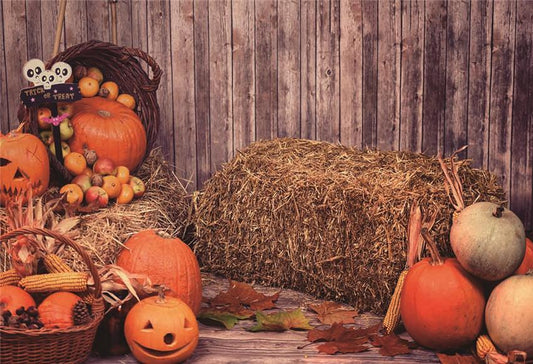 Trick or Treat Halloween Haystack Wood Wall Backdrop