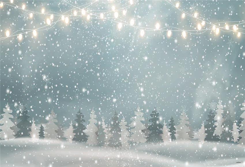 Bright Snow Winter Christmas Backdrop for Studio