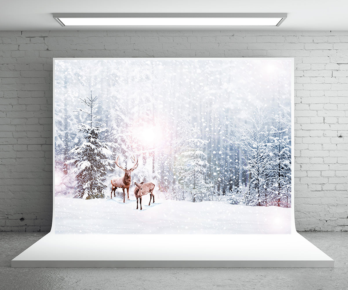 Winter Snow Forest Elk Photography Backdrops for Picture