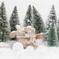 Winter Snow Pine Photography Backdrops for Christmas