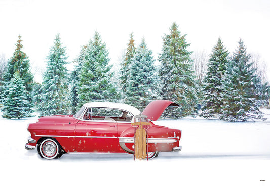 Winter Snow Red Car Forest Backdrop