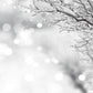 Bokeh Winter Snow Branches Photo Studio Backdrops