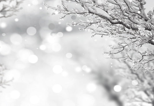 Bokeh Winter Snow Branches Photo Studio Backdrops