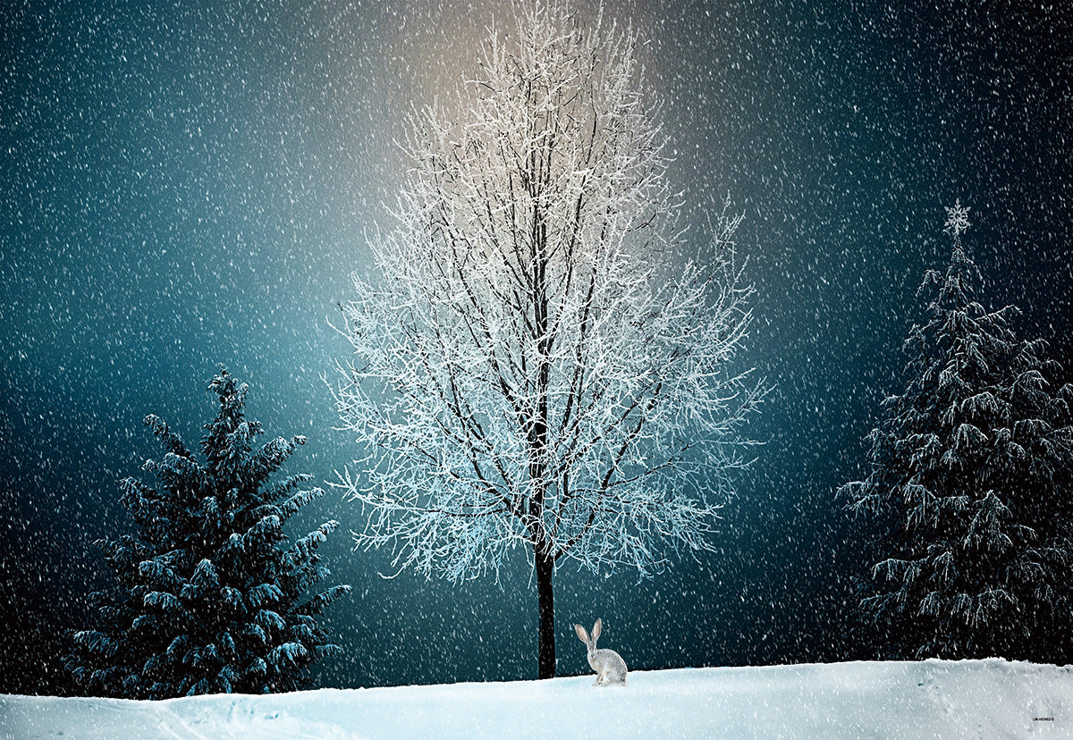 Snowflake Christmas Winter Photo Booth Prop Backdrops