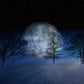 Big Moon Snow Winter Backdrops for Picture