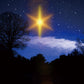 Night of Forest Shiny Star Backdrop for Photography
