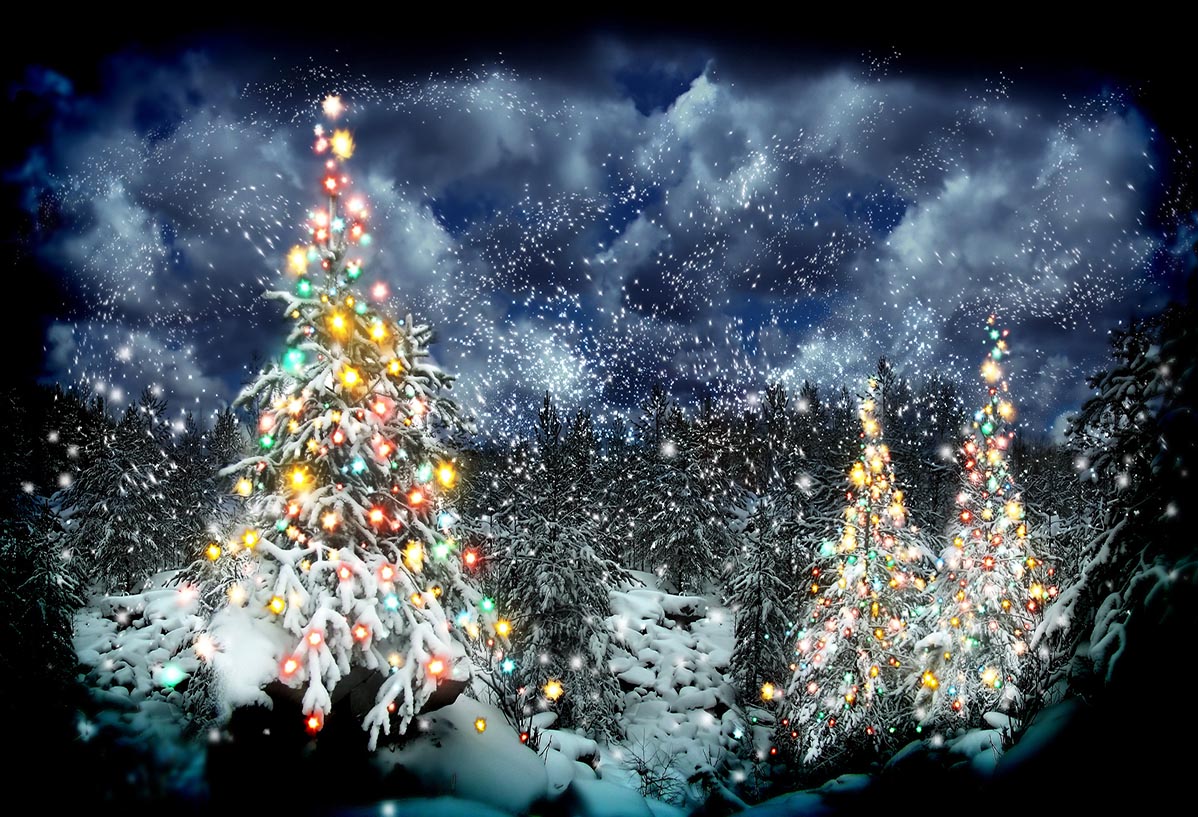 Winter Night of Snow Forest Bright Christmas Tree Backdrops