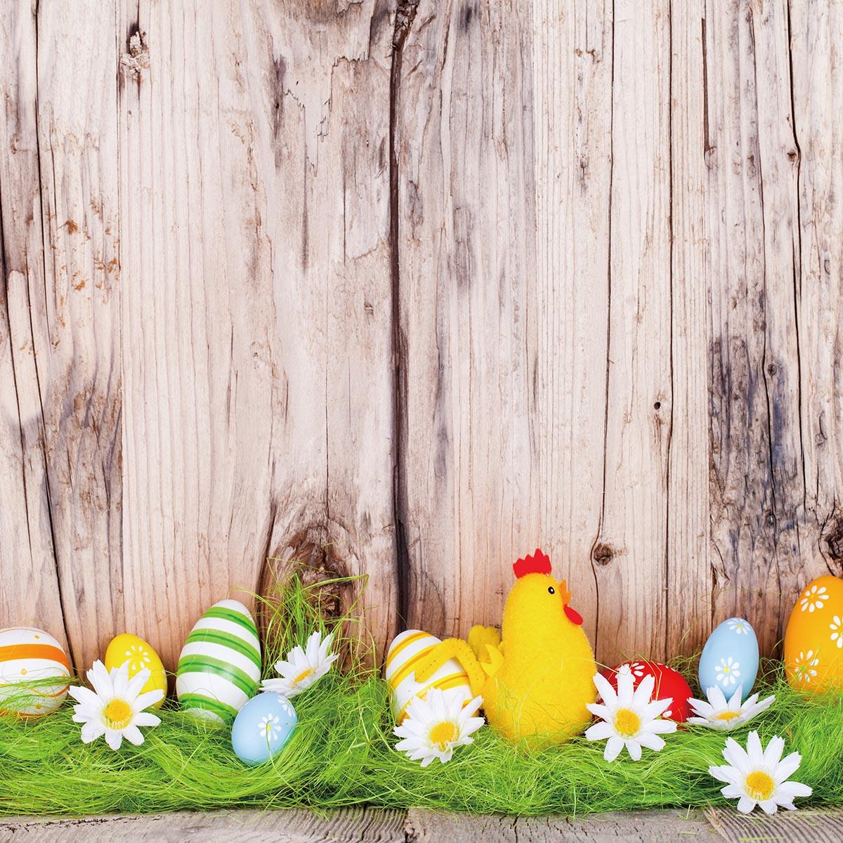 Wooden Wall Grass Happy Easter Backdrop for Photo