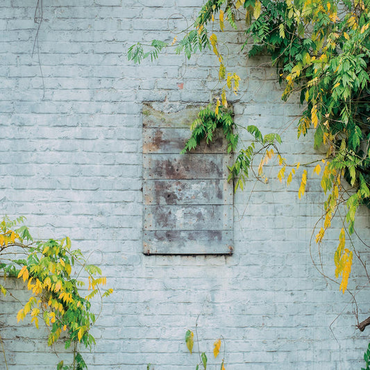 Spring White Brick Wall Green Leaves Photography Backdrops