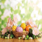 Spring Garden Easter Photography Backdrops for Picture