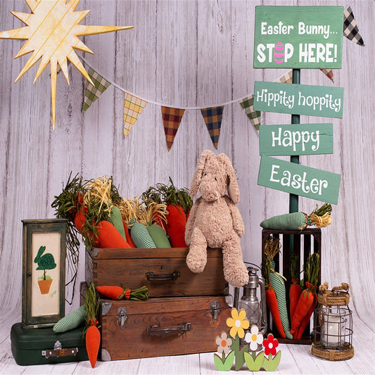 Happy Easter Cartoon Decoration Photography Backdrops for Mini Session