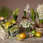 Daffodil Spring Easter Photography Backdrops