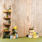 Spring Wooden Wall Backdrops for Photography