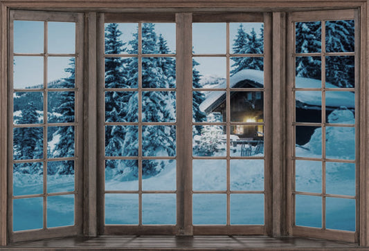 Winter Snow Wood Vintage Window Backdrop for Christmas