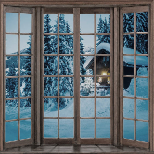 Winter Snow Wood Vintage Window Backdrop for Christmas