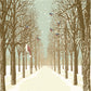 Winter Snow Christmas Backdrops for Photography Branches Background