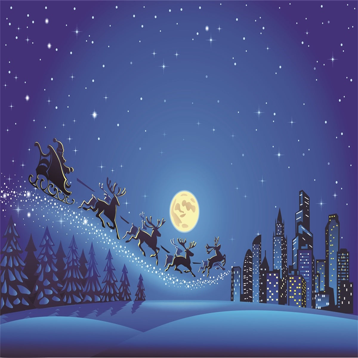 Night of Super City Santa Claus Christmas Photo Backdrops for Mini Session
