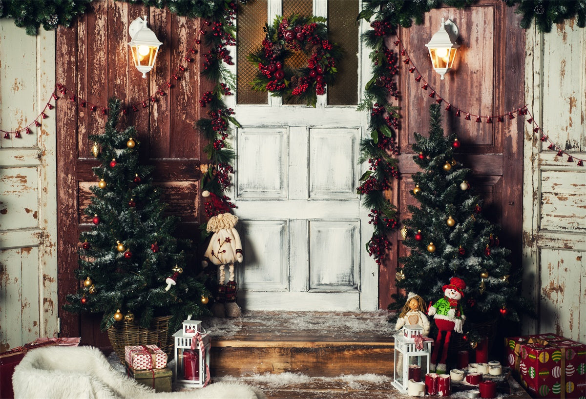 Wood Door Vintage Christmas Wreath Photo Backdrops