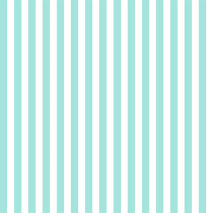 White and Mint Stripe Photo Background Backdrop