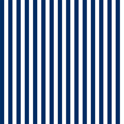 White and Mint Stripe Photo Background Backdrop