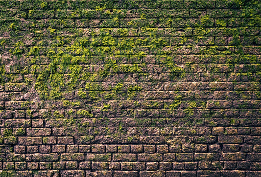 Dark Brick Wall Moss Plant Photography Backdrops for Portrait